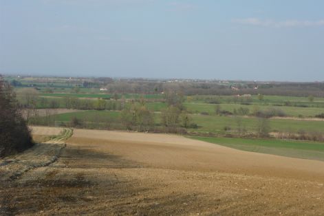 p1020001.jpg